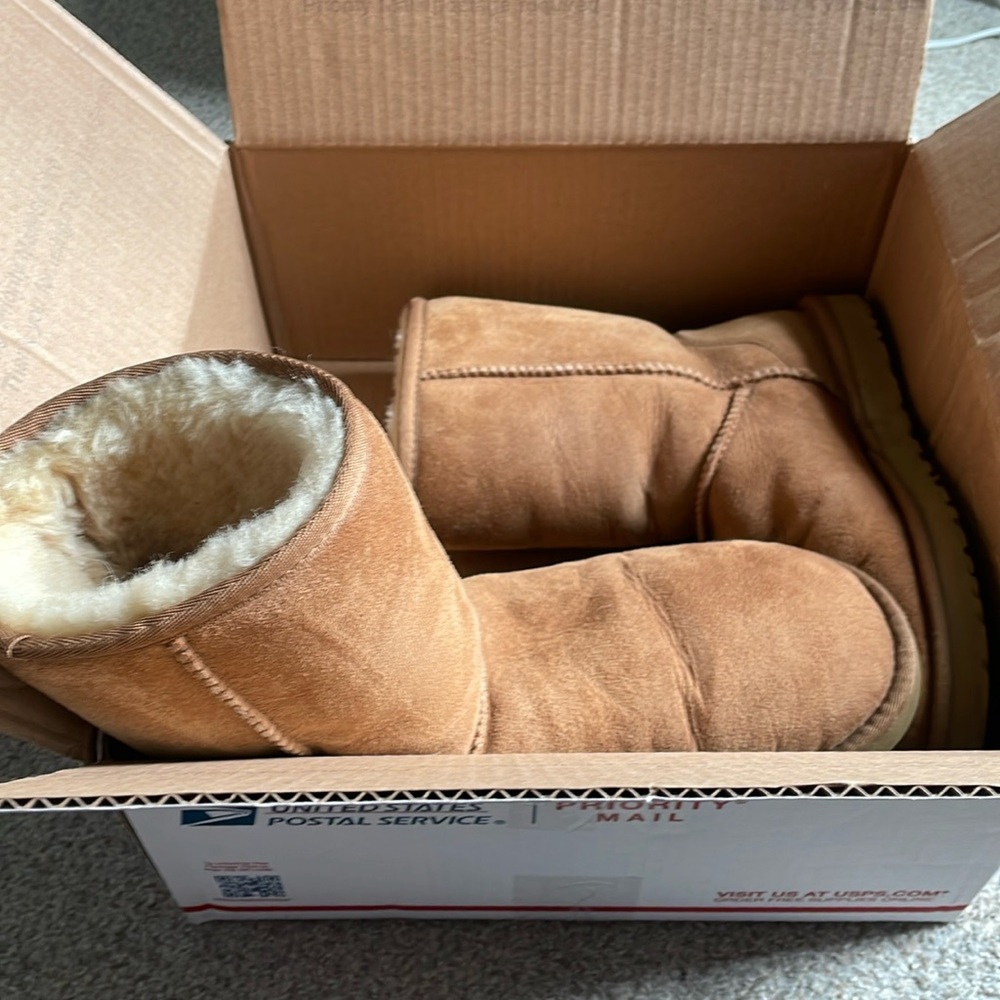 Classic Chestnut Ugg Boots
